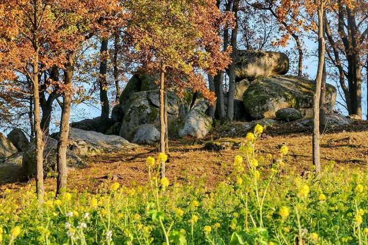Ferienhaus in Neunburg vorm Wald Wählen Sie unter 72 Ferienhäusern